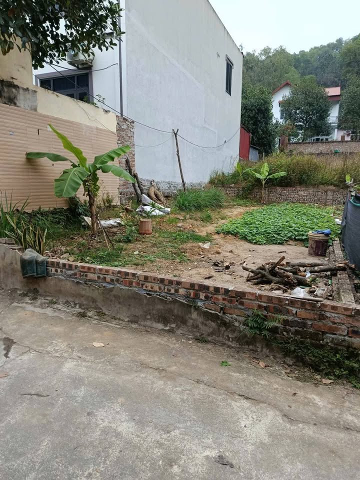 Đất Ngô Xá, Tiên Du 72m² giá 1.65 tỷ - Cơ hội đầu tư sinh lời!