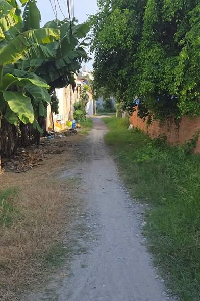 Đất nền Củ Chi 250m² giá 850 triệu - Đất cao bằng mặt đường, vị trí thuận lợi!