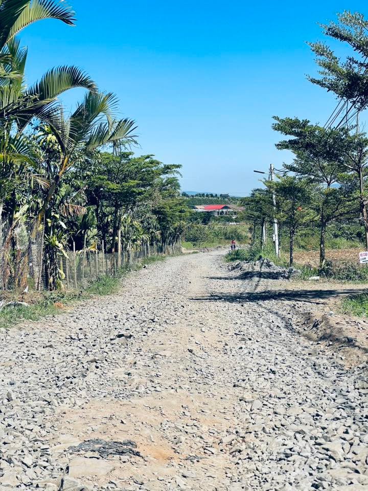 Nhà bán đường Liên Thôn, Ninh Gia, 555m², Giá 22.2 tỷ - Sẵn sàng vào ở ngay!