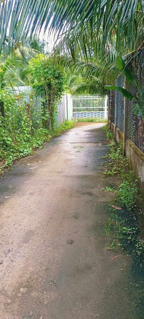 Đất nền Tân Thành Bình 1230m² giá 2,7 tỷ - Đầu tư sinh lời tuyệt vời!