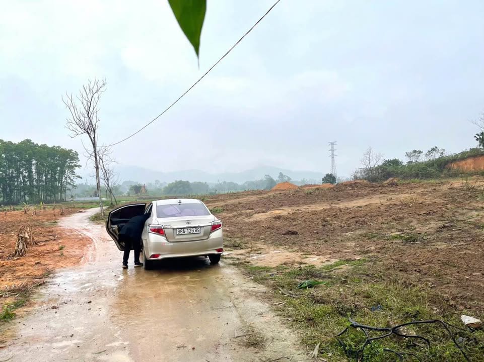 Đất nền Đồng Tĩnh - Tam Dương 7200m² giá chỉ 1 triệu/m² - Cơ hội vàng cho nhà đầu tư!