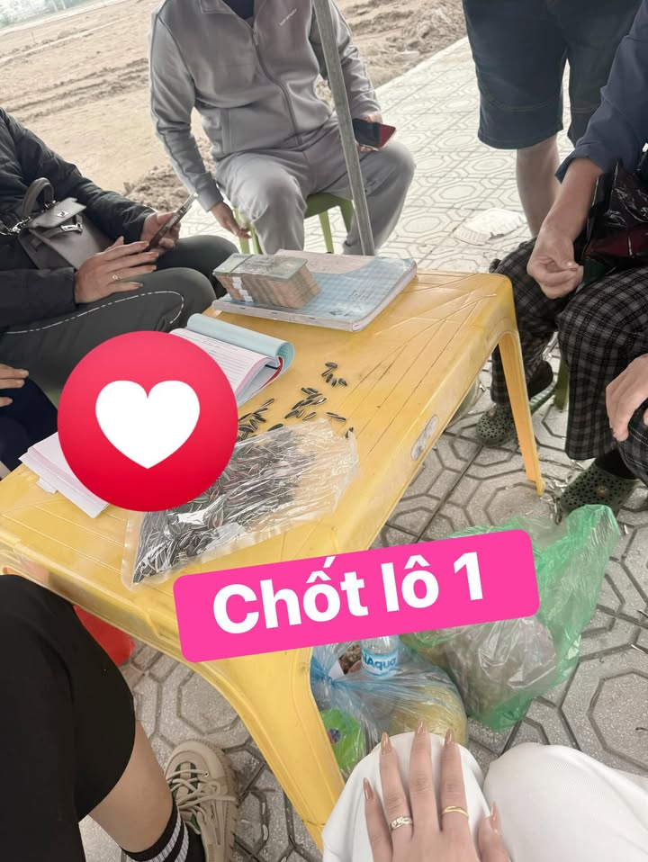 Đất nền Liên Minh Vụ Bản 100m² giá 2 tỷ - Cơ hội đầu tư hiếm có!