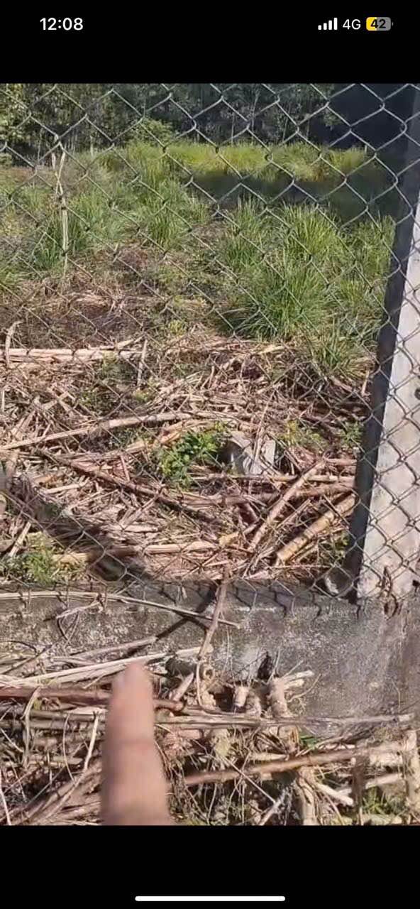 Đất nền Tịnh Sơn, Sơn Tịnh 210m² giá 300 triệu - Cơ hội đầu tư hấp dẫn!