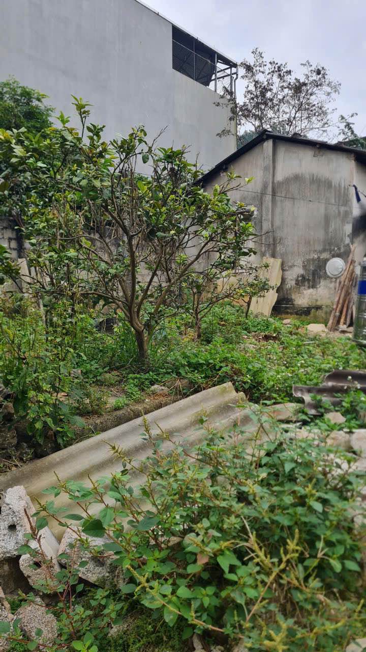 Lô đất chính chủ Phường Đông Kinh 60m² giá chỉ từ 800 triệu - Đầu tư sinh lời hấp dẫn!