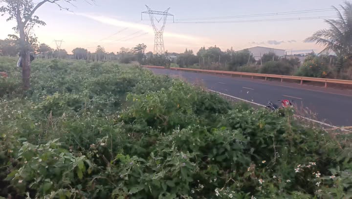 Đất nền Chư Sê Gia Lai 1500m² giá thỏa thuận - Đầu tư sinh lời ngay tại khu dân cư!