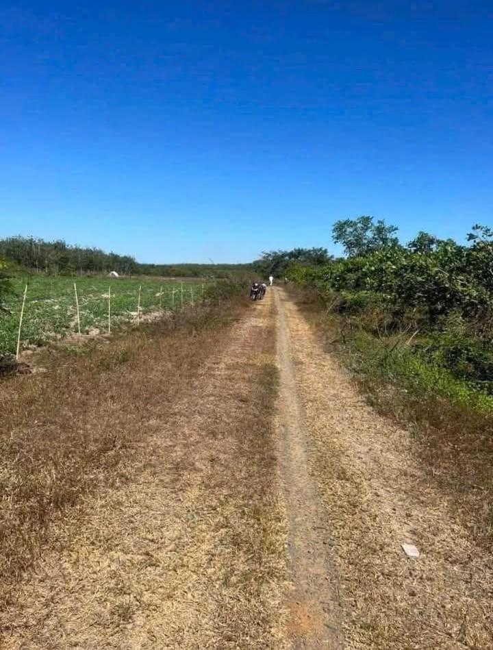 Đất Lộc Thành 2000m² giá 200 triệu - Sổ đỏ chính chủ, cơ hội đầu tư tốt!