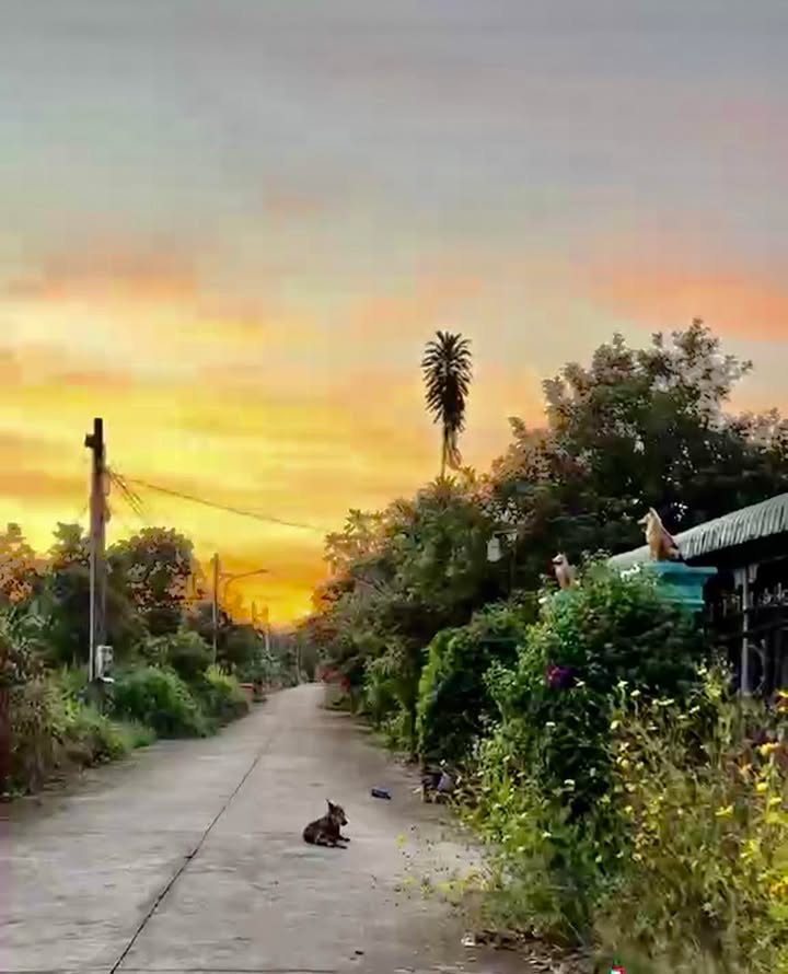 Nhà mặt tiền bê tông Tân Hiệp, Phú Giáo 145m² - Giá cả thỏa thuận hấp dẫn!