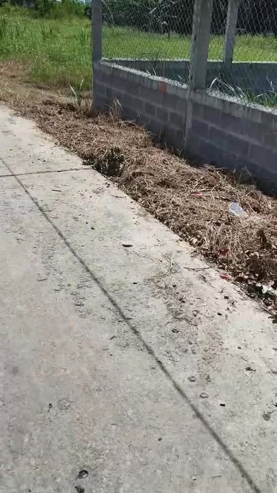 Đất thổ cư xã Nhị Thành, Thủ Thừa, Long An 8500m² - Giá tốt đầu tư chỉ 1.5 tỷ!