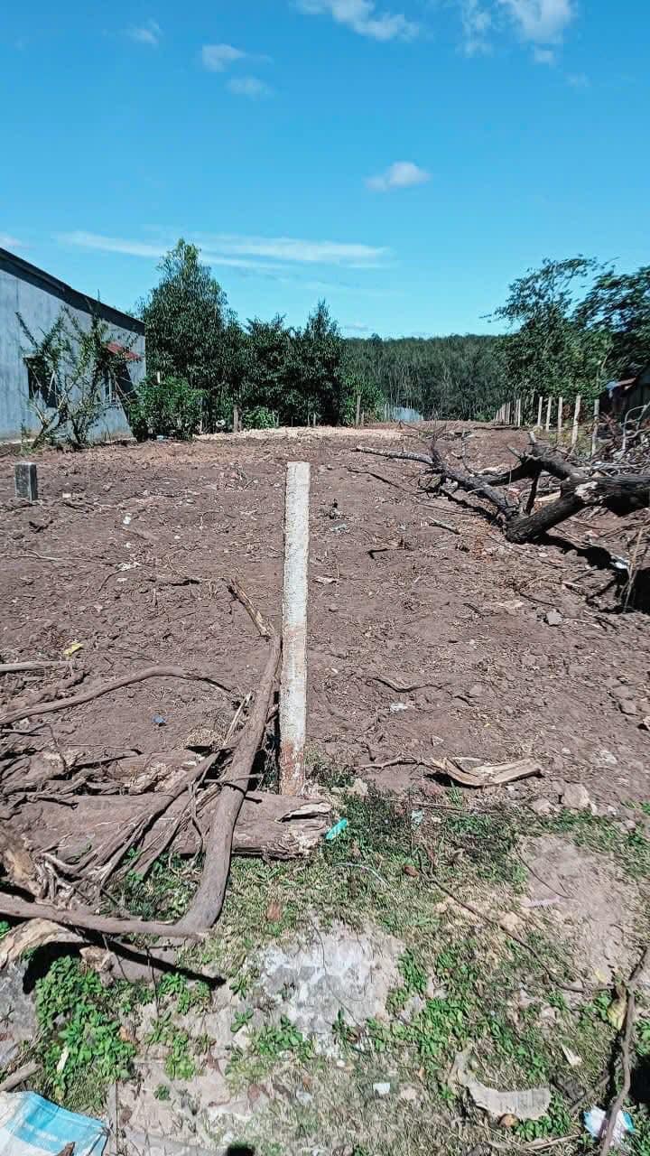 Đất thổ cư 250m² tại Tỉnh Lộ 671, Ngọc Wang, Đăk Hà - Giá tốt thương lượng!