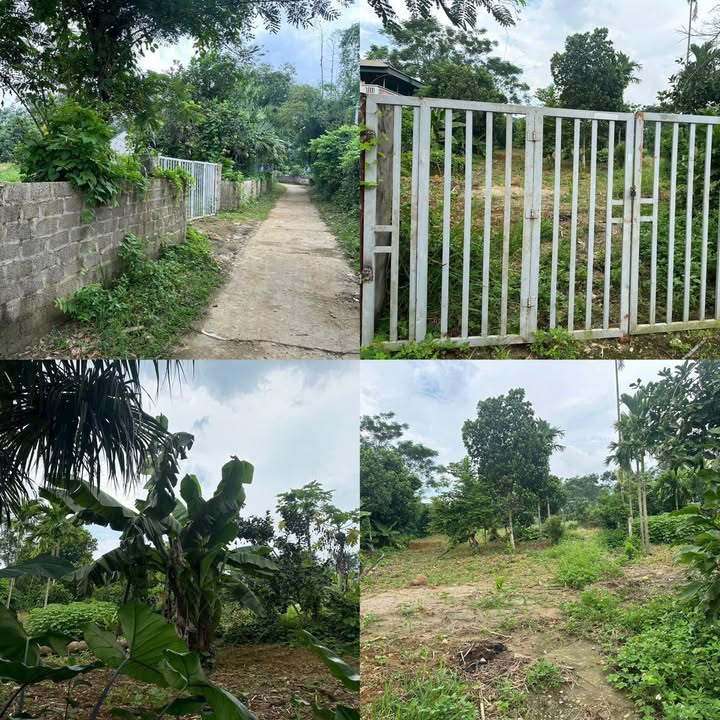 Đất thổ cư 2007m² tại Thịnh Minh, Hòa Bình - Giá 3.2 tỷ, cơ hội đầu tư tuyệt vời!