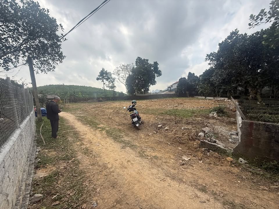 Đất nền Phú Thành Lạc Thủy 1100m² giá 1.76 tỷ - Mặt tiền 45m, phân lô dễ dàng!