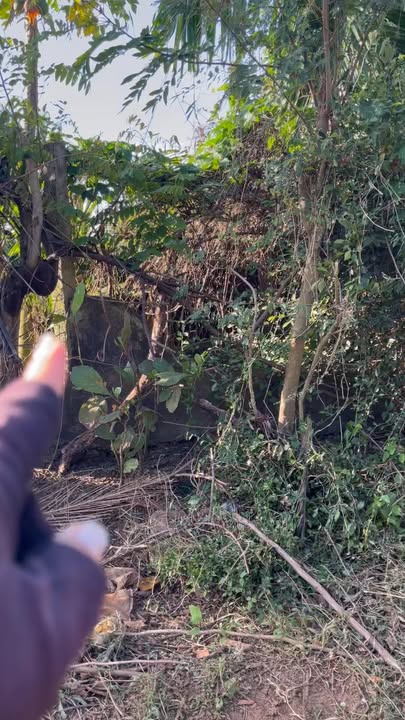 Đất thổ cư 4.000m² tại thôn Lô 13, Dray Bhăng, Cư Kuin - Giá chỉ 1.84 tỷ!