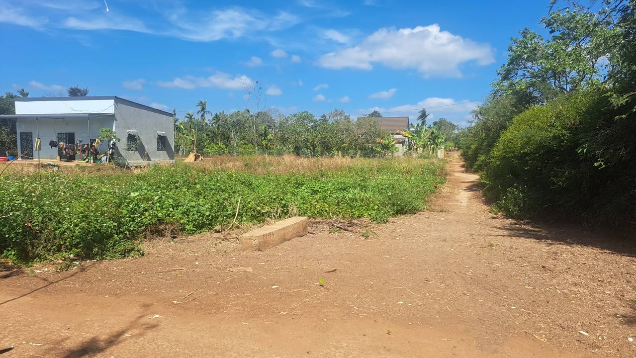 Đất nền Ea Tiêu Cư Kuin 125m² giá chỉ 280 triệu - Đầu tư sinh lời ngay!