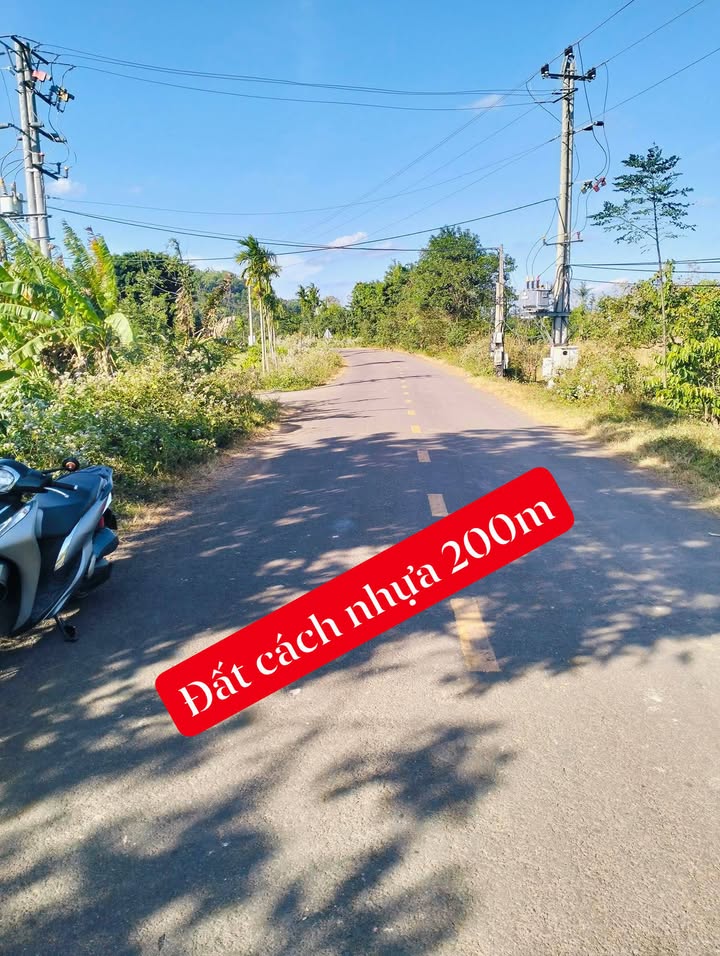 Đất nền 1 Ha tại Ea Tiêu, Cư Kuin - Giá chỉ 7.056 tỷ, đầu tư sinh lời ngay!