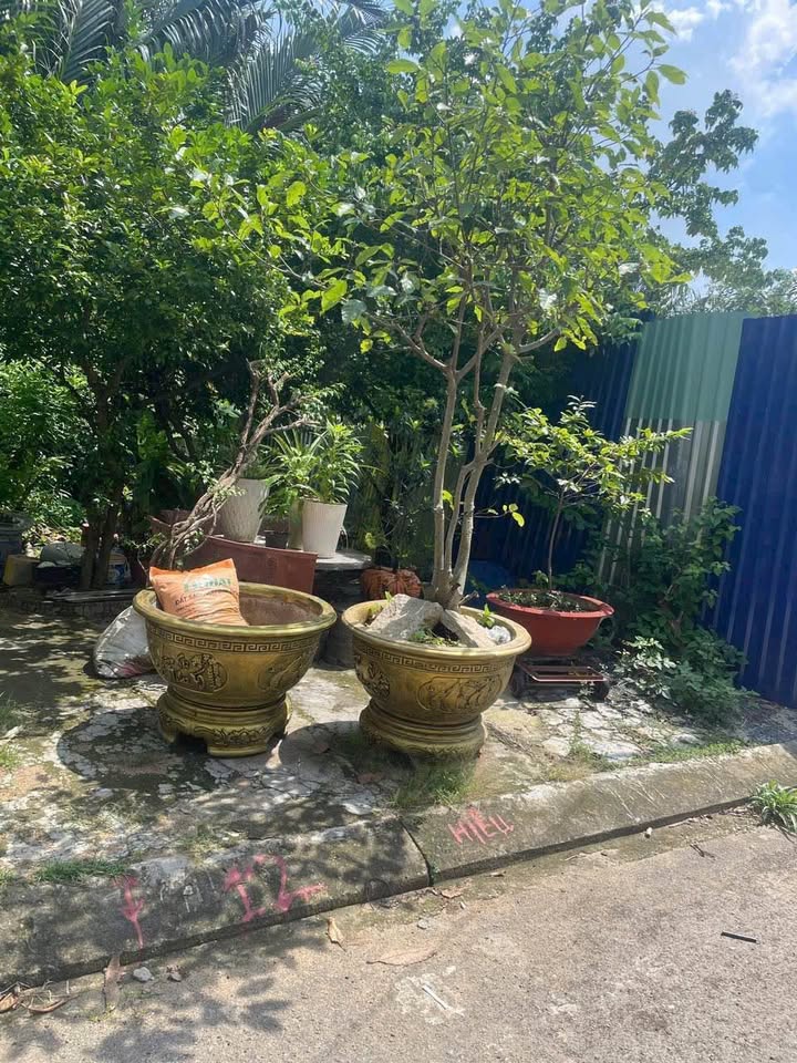 Đất sổ chung hẻm ô tô Nguyễn Duy Trinh Q9 100m² giá 600 triệu - Nguồn gốc rõ ràng!