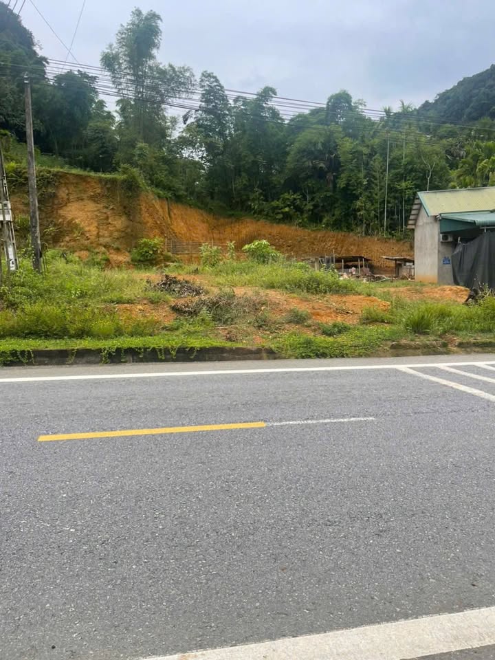 Bán lô đất thổ cư 535m² tại đường tỉnh lộ 217 - Quan Sơn, Thanh Hóa - Giá chỉ 500 triệu!