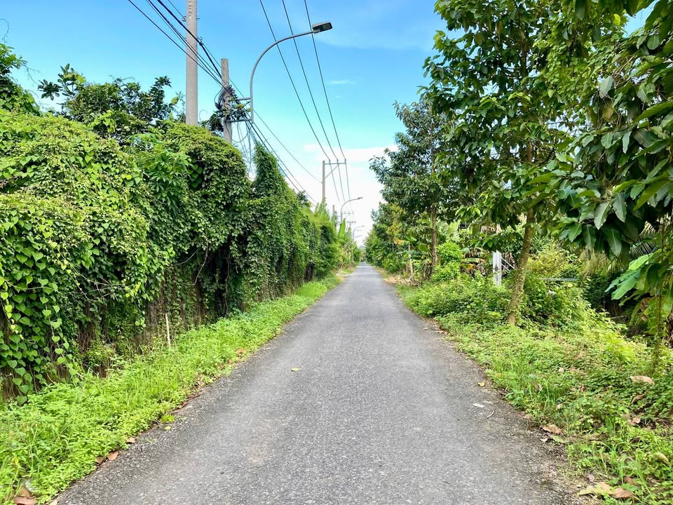 Đất nền đẹp Mỹ Phong, Mỹ Tho 120m² giá 1.3 tỷ - Đầu tư sinh lời ngay!