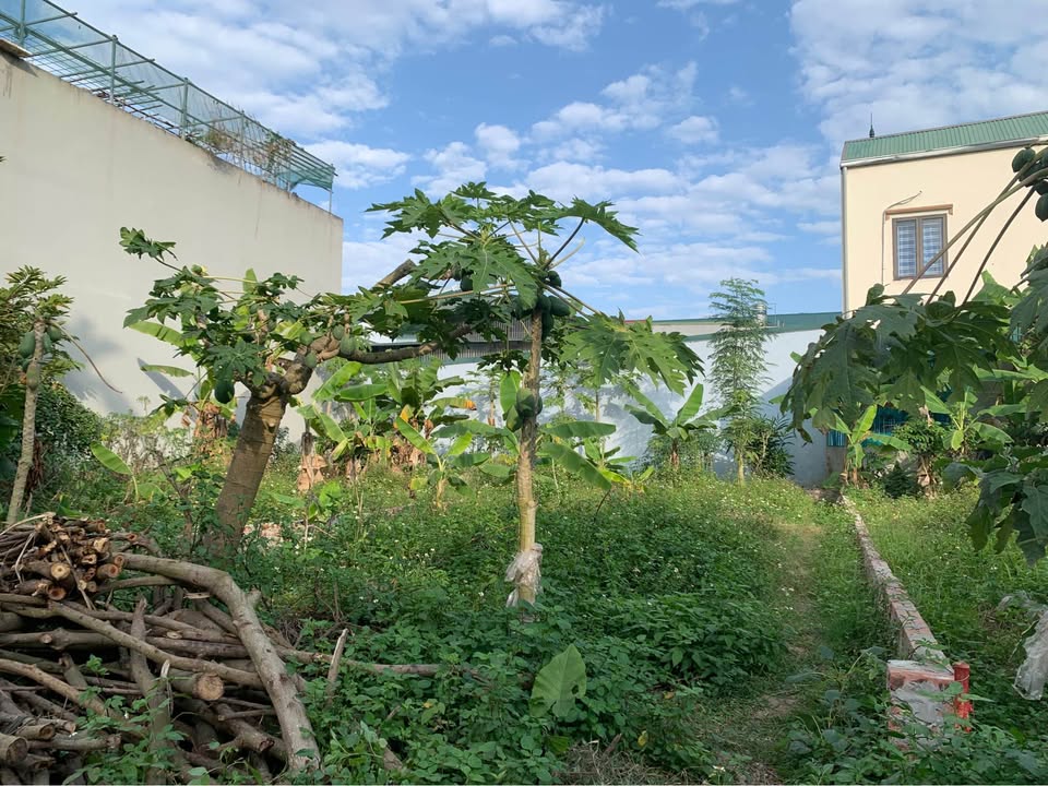 Bán lô đất tổ 9 Thịnh Lang 93m² giá 1 tỷ - Đầu tư sinh lời cao!