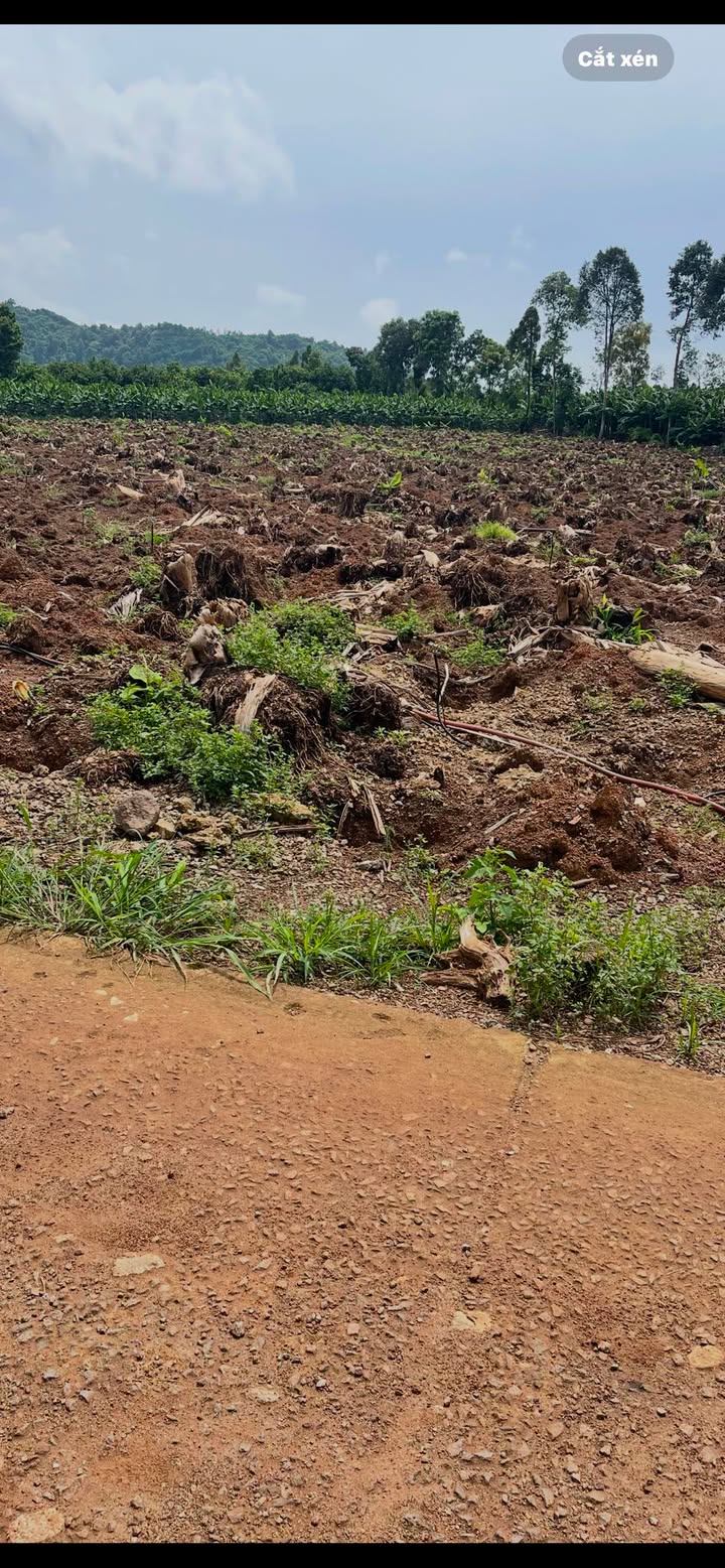 Đất nền Gia Tân 1, Thống Nhất 5433m² giá 4 tỷ - Cơ hội đầu tư hấp dẫn!