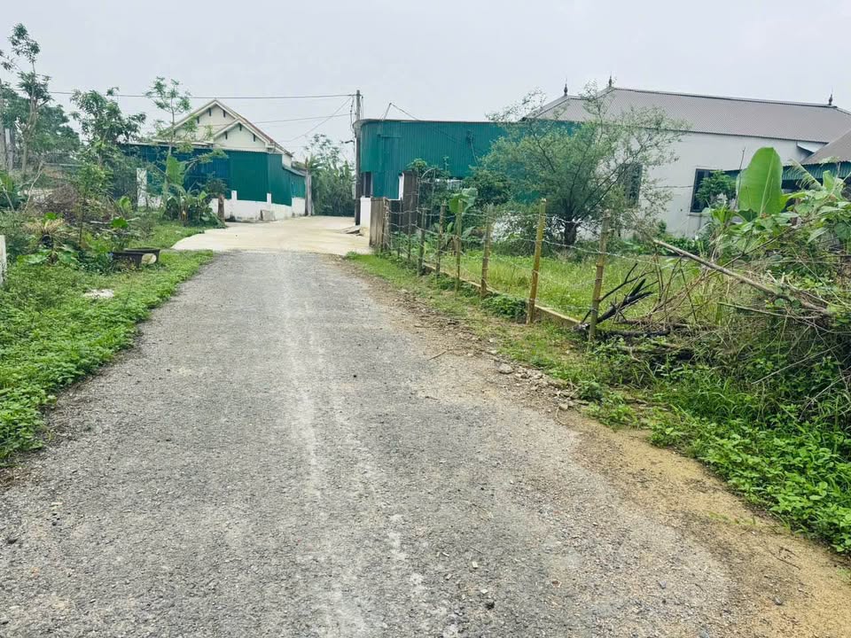 Bán đất Xóm Lương Lương Nghi Liên 131m² giá chỉ 1.4 tỷ - Cơ hội đầu tư tuyệt vời!