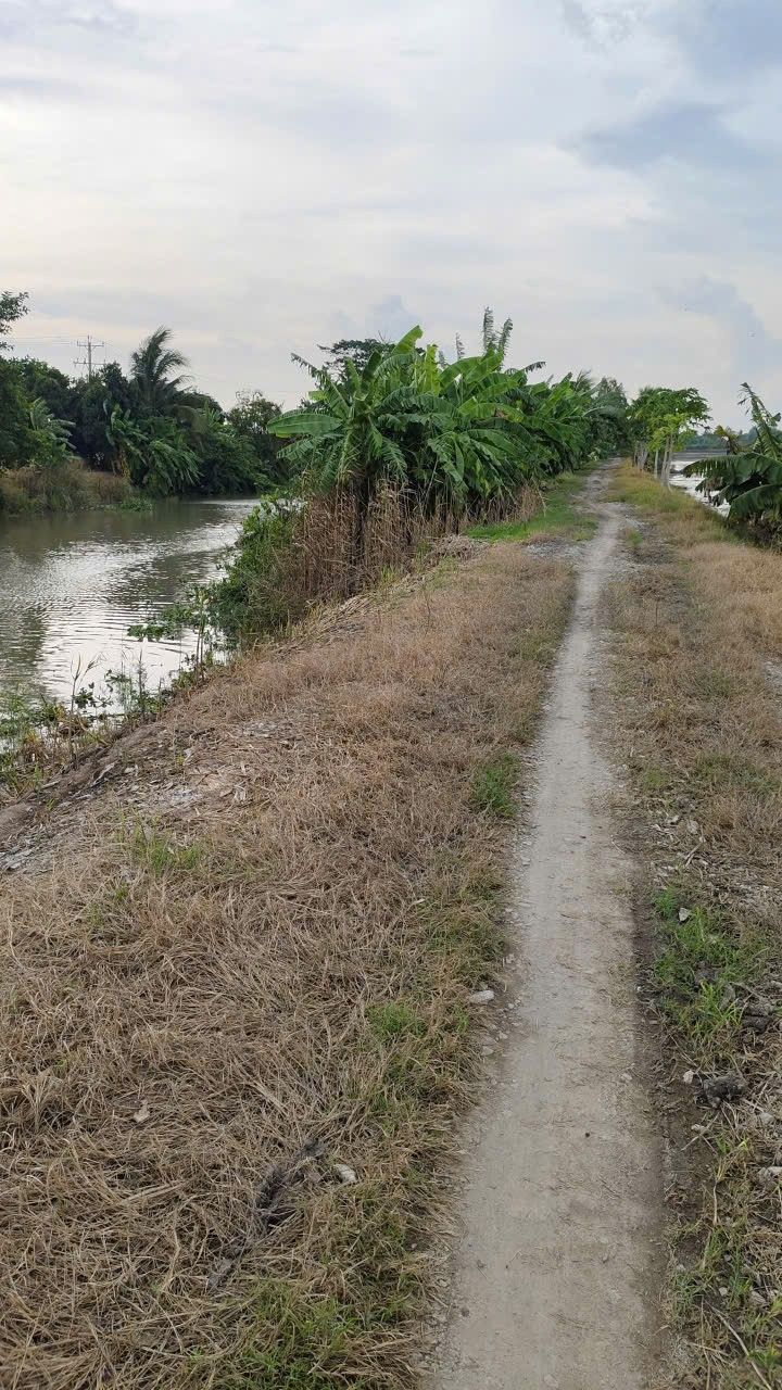 Đất nông nghiệp 22 công Phú Thuận, An Giang giá 9.24 tỷ - Tiềm năng đầu tư lớn!