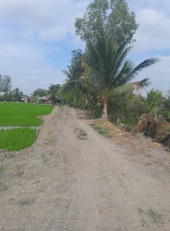 Đất nông nghiệp Tân Tiến, Tịnh Biên 14 công giá 1.96 tỷ - Sổ đỏ chính chủ!