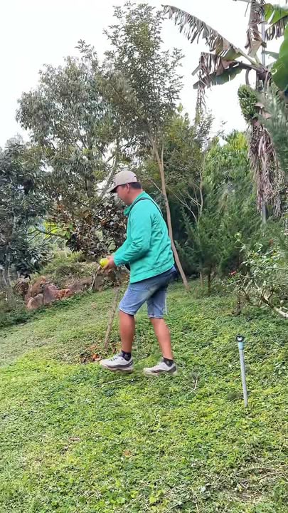 Nhà Sân Vườn Hòa Ninh 2187m² giá 3.5 tỷ - Không gian sống lý tưởng!