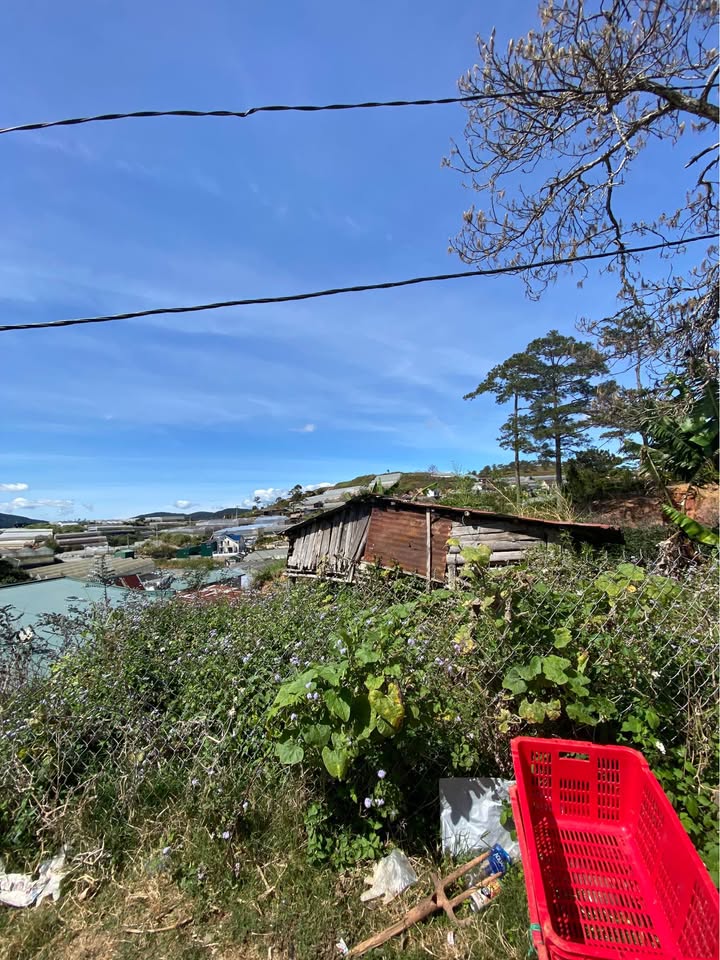 Lô đất Vạn Thành, Đà Lạt 386m² chỉ 2.05 tỷ - Đầu tư sinh lời hấp dẫn!