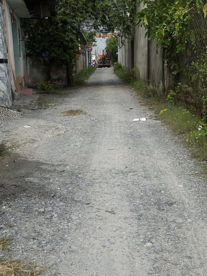 Đất thổ cư 172.5m² tại xã Mỹ Hạnh, Đức Hòa - Giá chỉ 1.6 tỷ, đầu tư sinh lời!