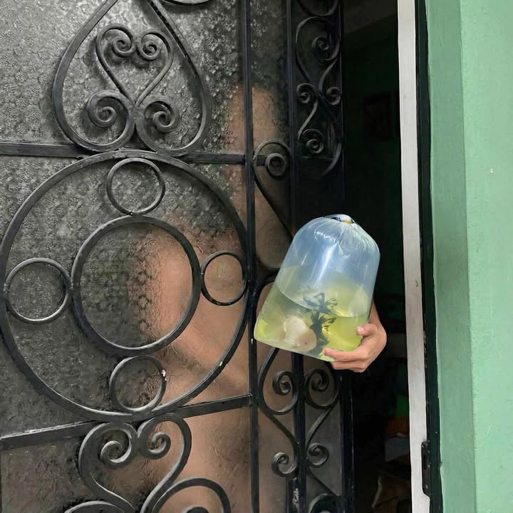 Đất nền thổ cư Cư Suê 145m² giá 595 triệu - Tiềm năng đầu tư cao!