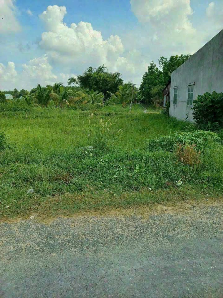 Đất nền Hiệp Thạnh Gò Dầu 85m² - Mặt tiền nhựa, giá tốt nhanh chóng!