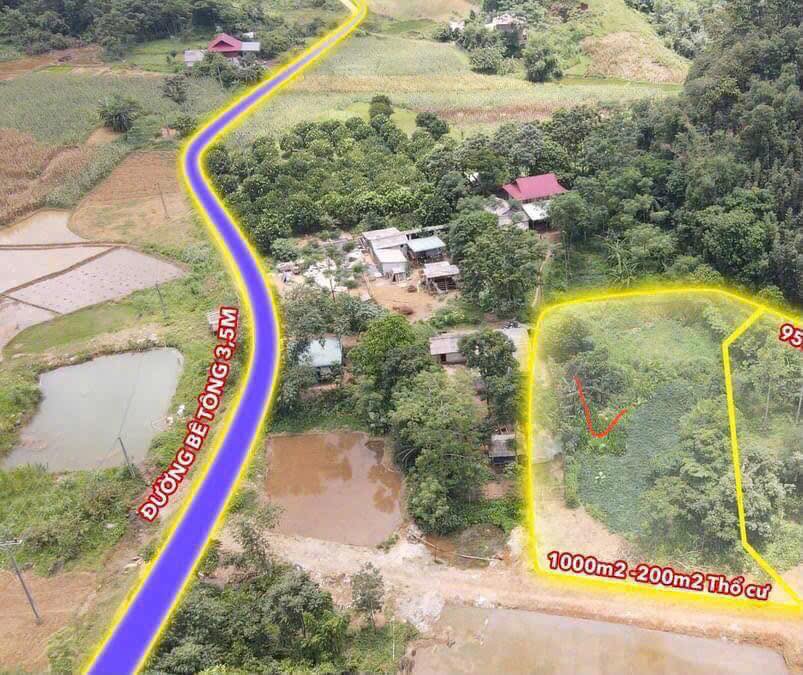 Đất nền Phú Cường Tân Lạc 1000m² giá 400 triệu - Đầu tư sinh lời hấp dẫn!