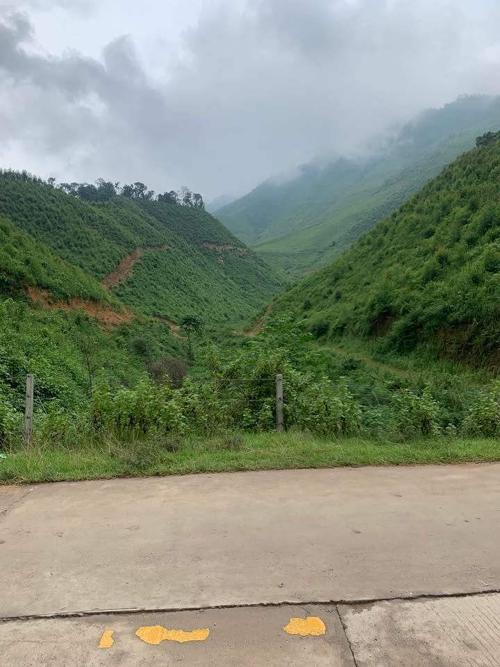 Farm 30ha tại An Sinh, Đông Triều, Quảng Ninh - Đất trồng bạch đàn tàu, giá thỏa thuận!