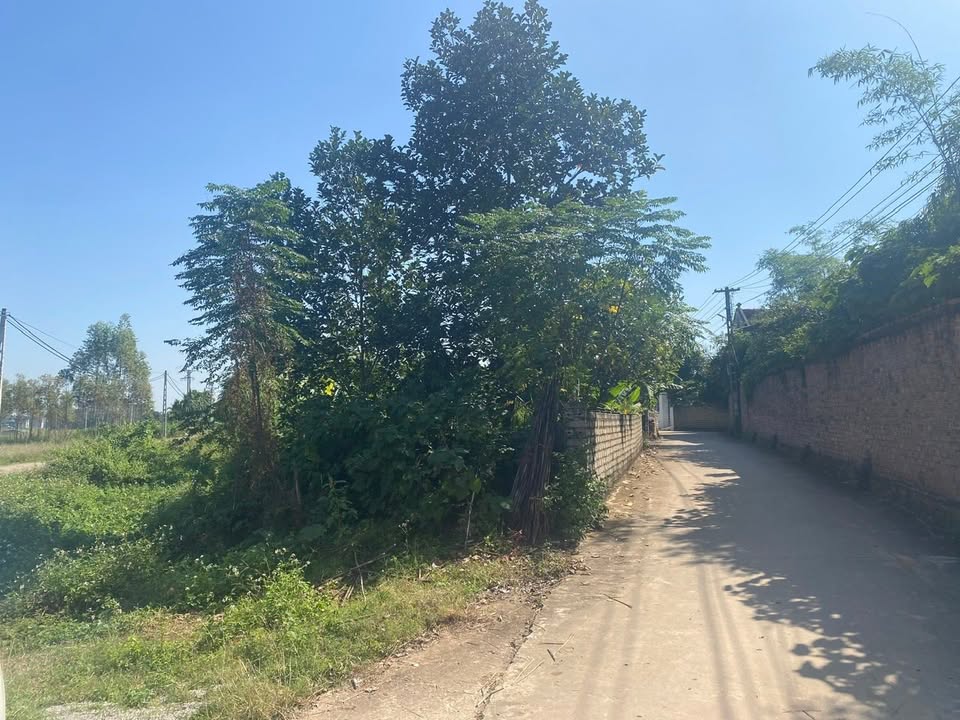 Đất 2 mặt tiền Lạng Giang 406m² - Đối diện trường THCS Quang Thịnh, đầu tư sinh lời!