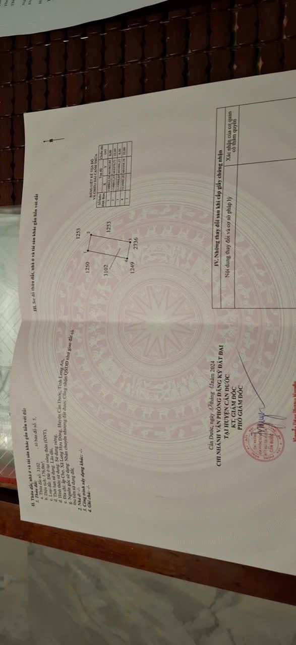 Đất thổ cư 176m² xã Long Hựu Đông, Cần Đước - Giá chỉ 800 triệu!