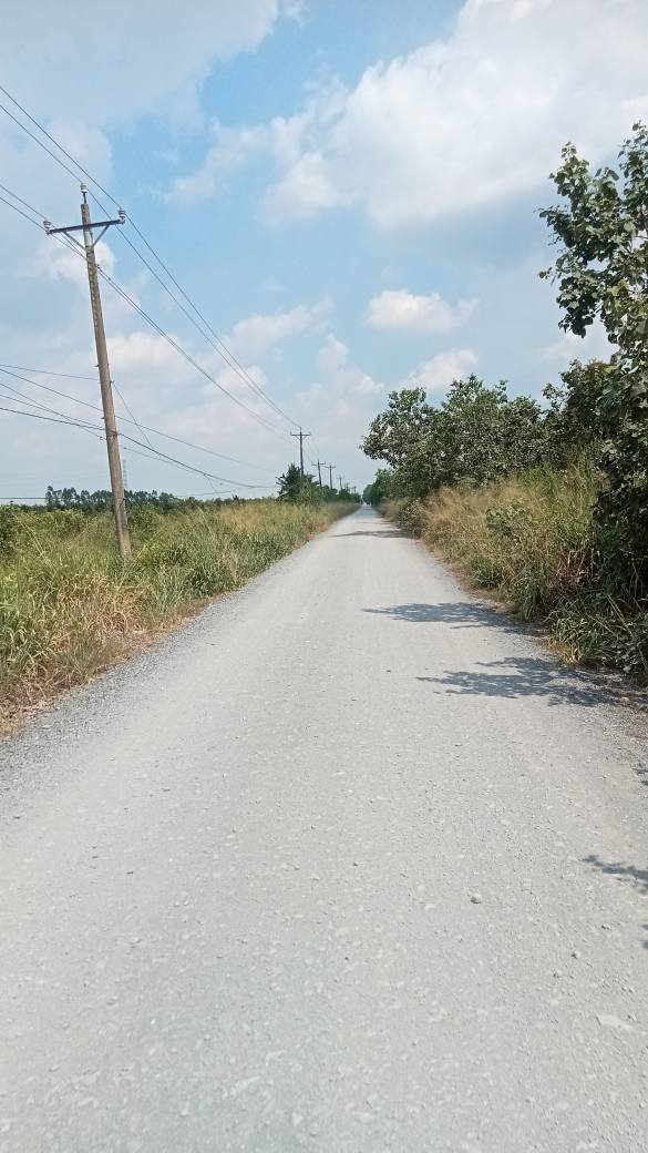 Đất vườn 1.3 ha tại xã Thạnh Lợi, Bến Lức giá 5.2 tỷ - Tặng nhiều tiện ích hấp dẫn!