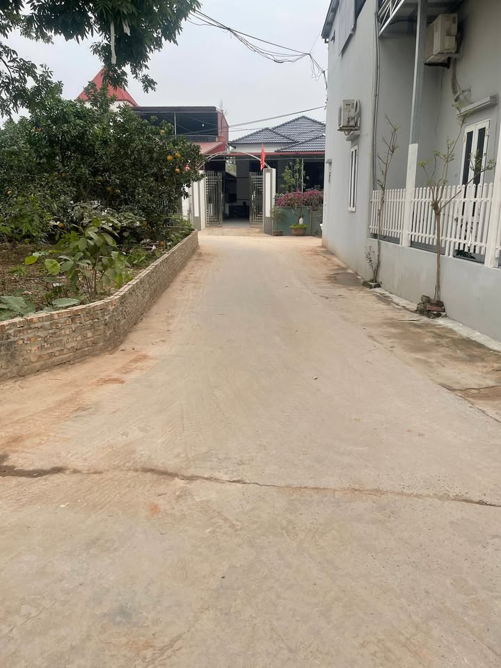 Đất đấu giá Đông Tảo - Khoái Châu - Hưng Yên 64m² chỉ 1 tỷ - Đầu tư sinh lời ngay!