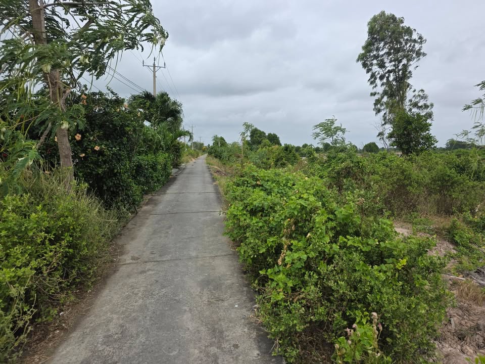 Đất nuôi trồng thủy sản 7200m² tại ấp Cây Da - Giá chỉ 864 triệu