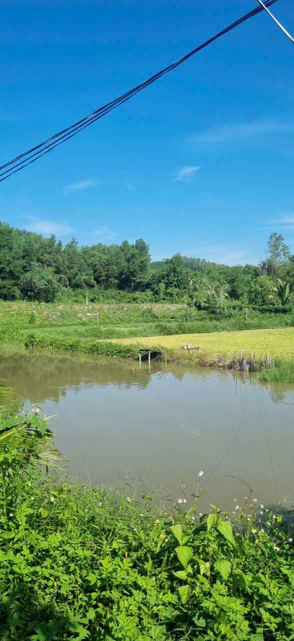 Đất vườn Diên Tân 1ha giá 2.55 tỷ - Tiềm năng phát triển sinh lời!