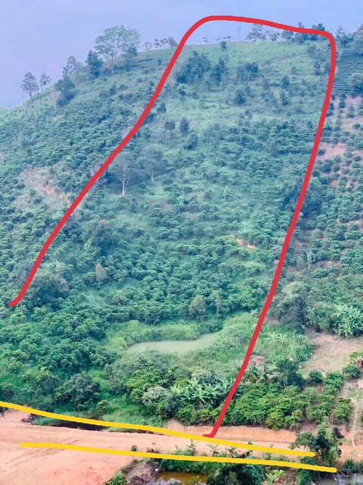 Đất thổ cư 1.4ha thôn 10 - Lộc Nam - Bảo Lâm, giá chỉ 2.8 tỷ - Cơ hội đầu tư không thể bỏ lỡ!