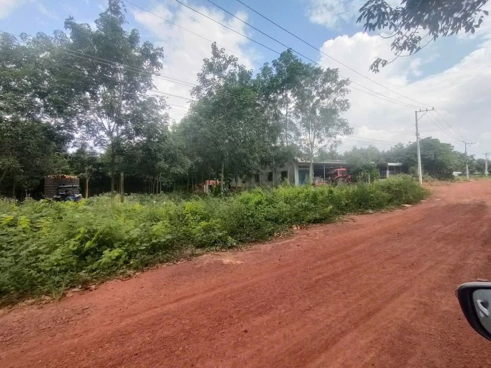 Đất nền An Linh Phú Giáo 544m² giá 460 triệu - Sổ đỏ chính chủ, đầu tư sinh lời!