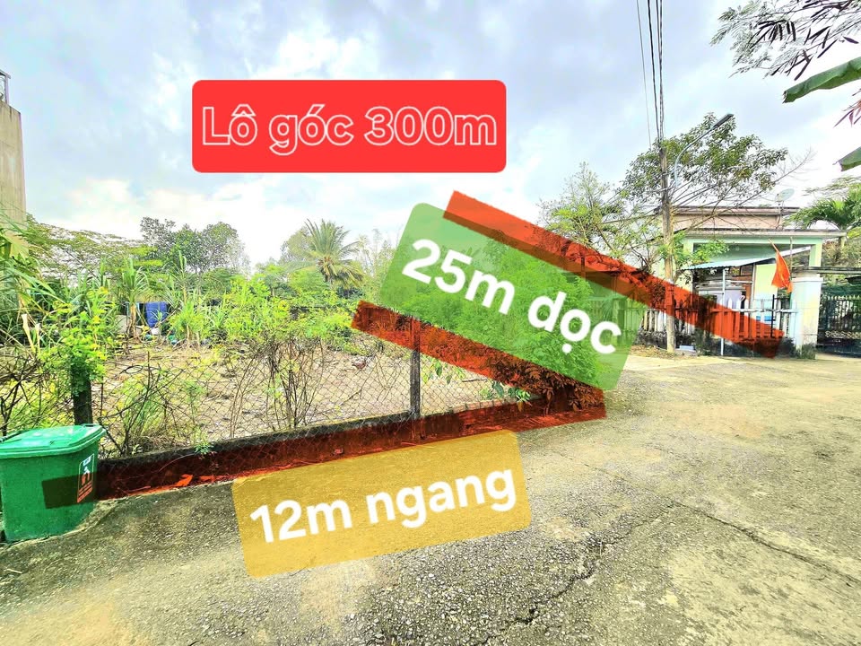 Đất Biệt Thự Phong Nam Hòa Xuân 300m² giá 2.99 tỷ - Vị trí đắc địa, sổ đỏ chính chủ!