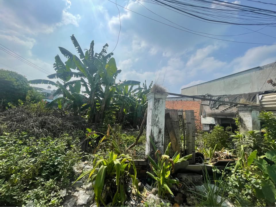 Bán đất Đặng Thúc Vịnh Hóc Môn 98m² giá 3.85 tỷ - Pháp lý rõ ràng, thương lượng nhẹ!