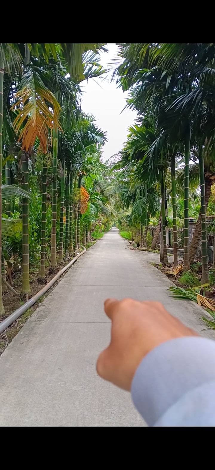 Đất nền Long Hưng Châu Thành Tiền Giang 500m² giá 450 triệu - Bán gấp không thể bỏ qua!