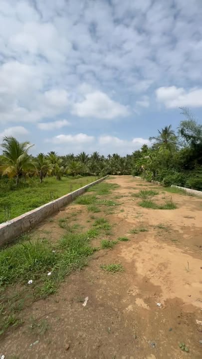 Đất thổ cư Hòa Tịnh, Chợ Gạo 350m² giá 1.2 tỷ - Chính chủ bán gấp!