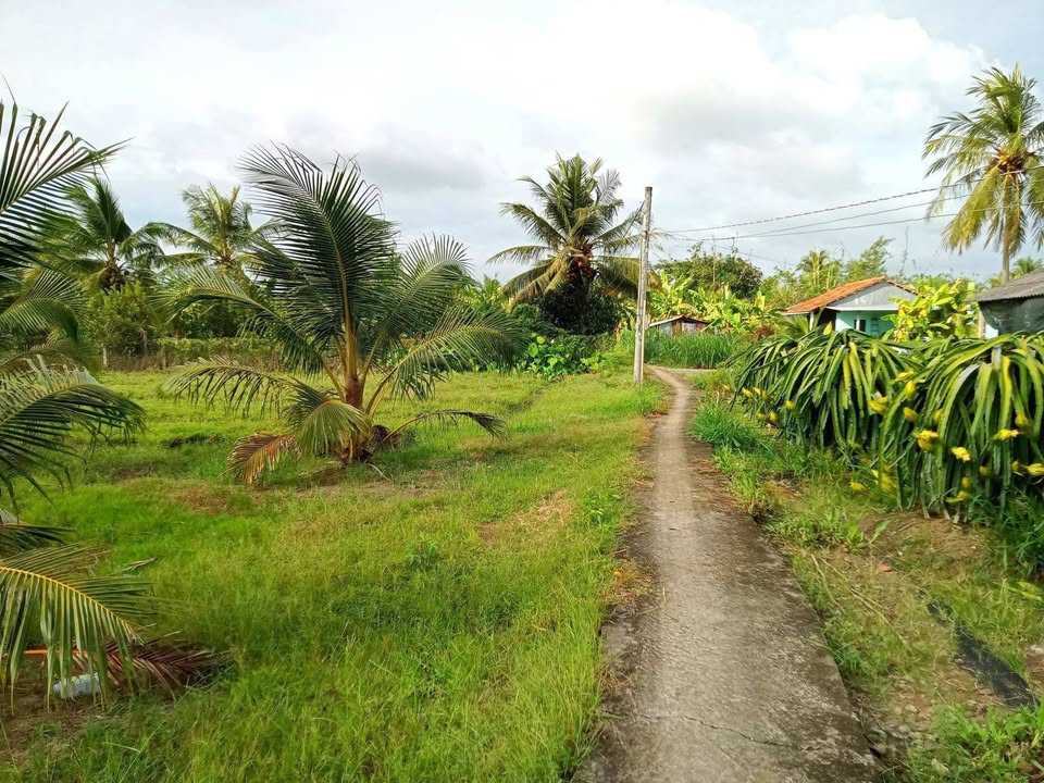 Đất vườn 2200m² xã Bình Phục Nhứt, huyện Chợ Gạo - Giá tốt chỉ 880 triệu