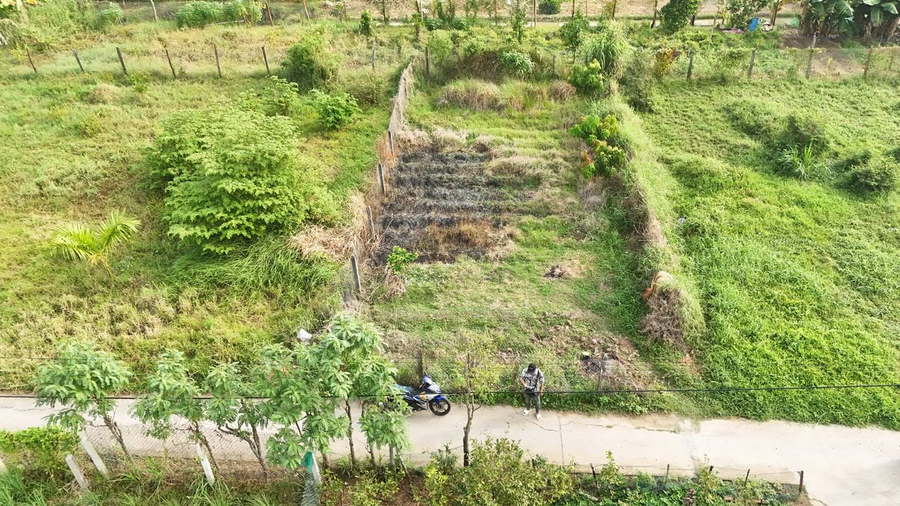 Đất nền chính chủ Tân Hòa Gò Công Đông 230m² giá 700 triệu - Sổ hồng đầy đủ!