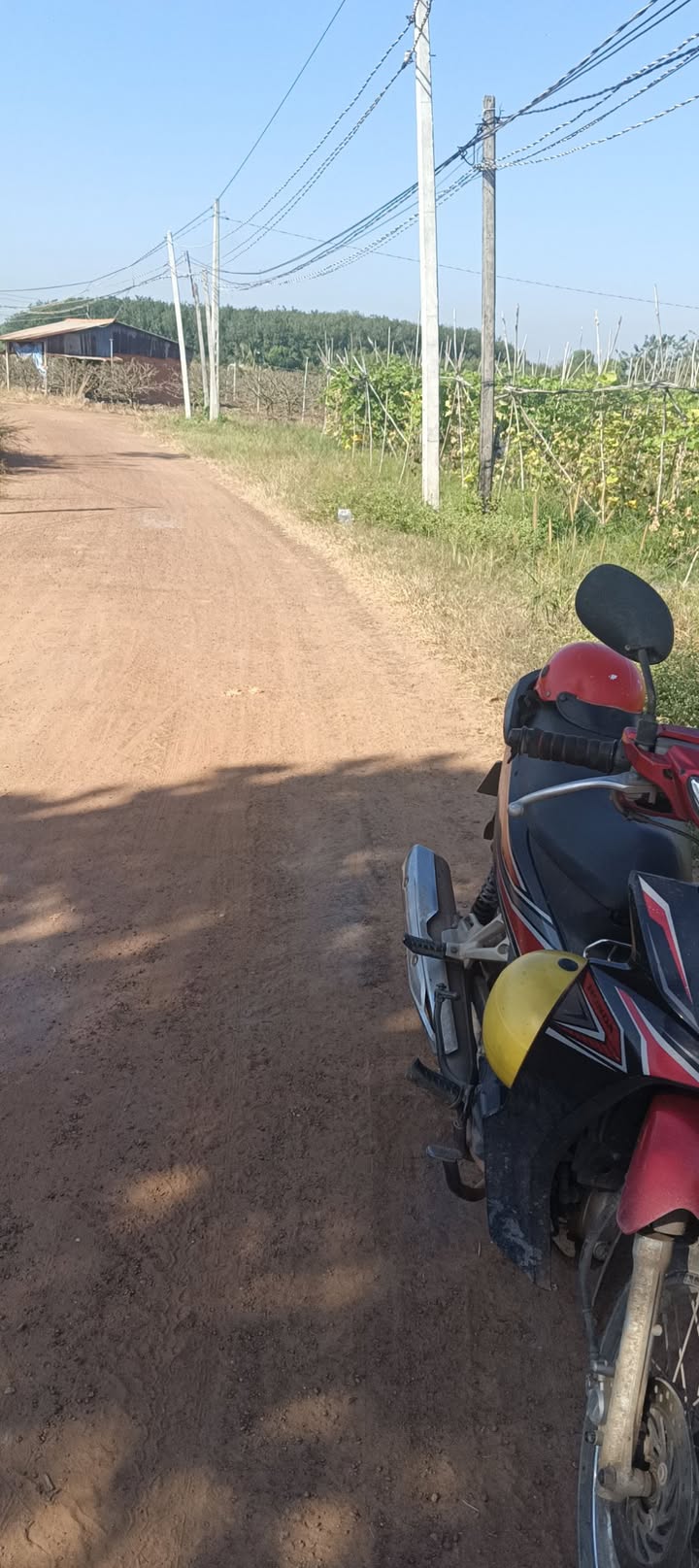 Đất thổ cư 2080m² đường 785, Tân Hiệp, Tân Châu - Giá chỉ 60.2 tỷ!