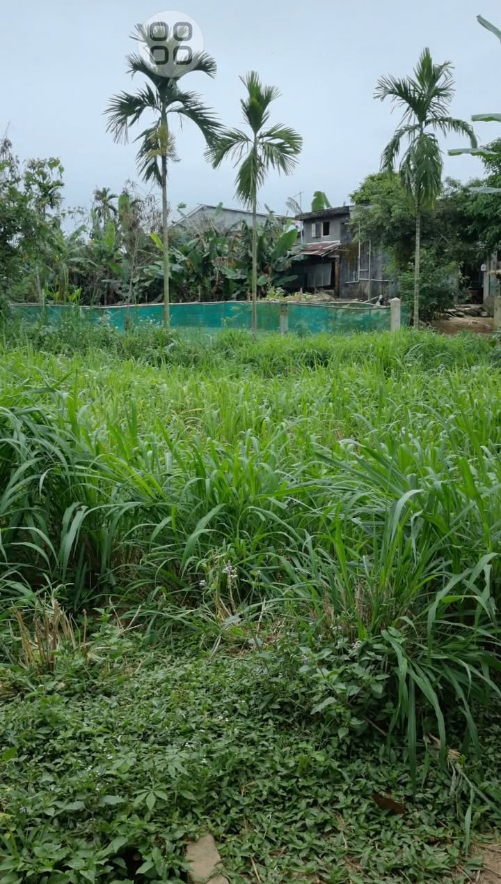 Đất nền Điện Trung - Điện Bàn 110m² giá 300 triệu - Cơ hội đầu tư sinh lời!