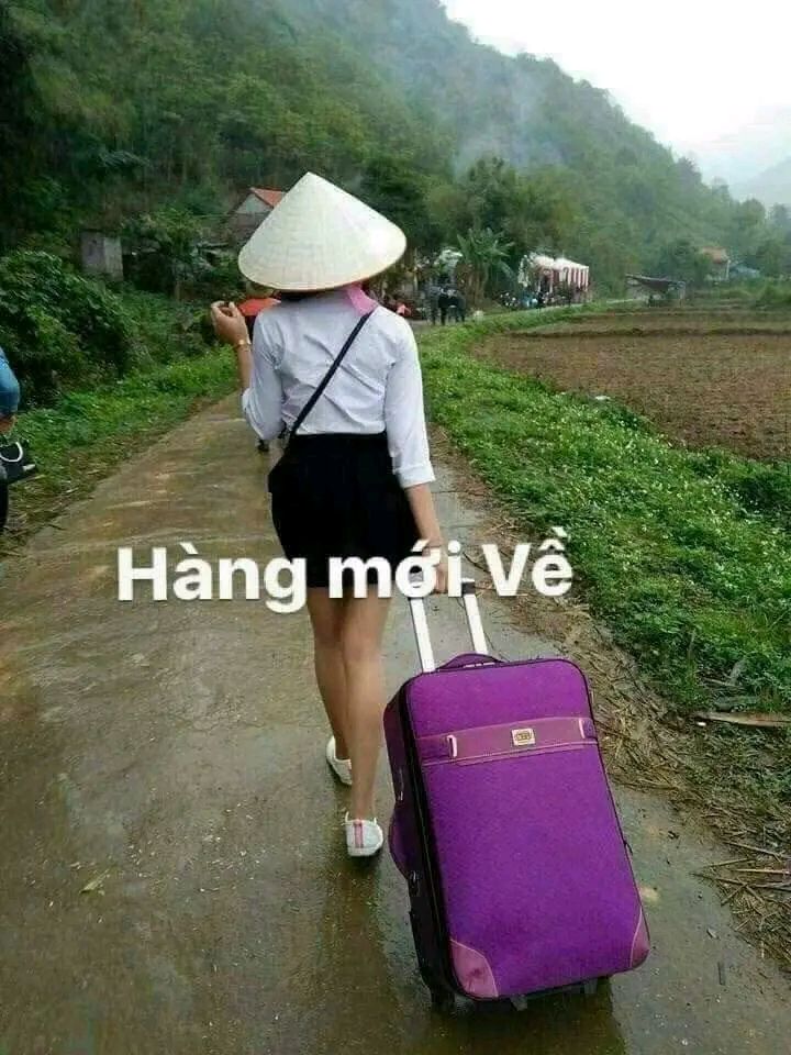 Đất nền Hoài Mỹ 80m² giá chỉ 3xx triệu - Cơ hội đầu tư hấp dẫn!